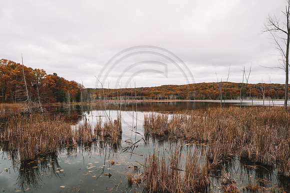 leelanau-1348