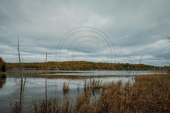 leelanau-1354
