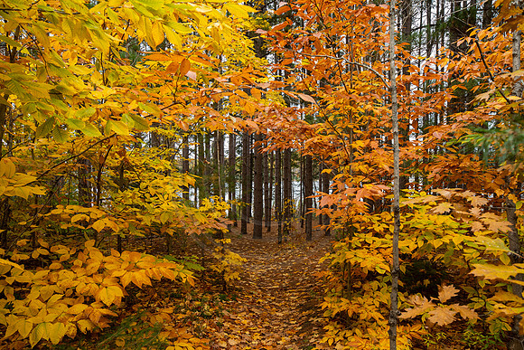 leelanau-1360