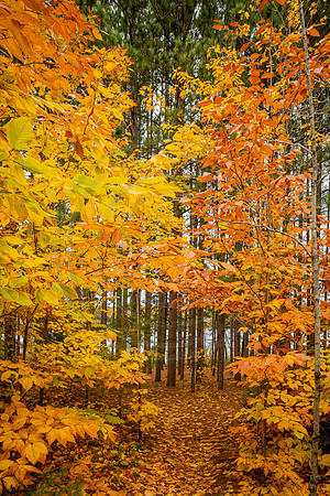 leelanau-1367