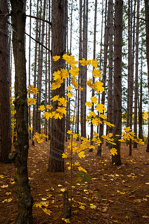 leelanau-1373