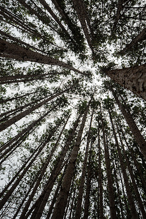 leelanau-1375