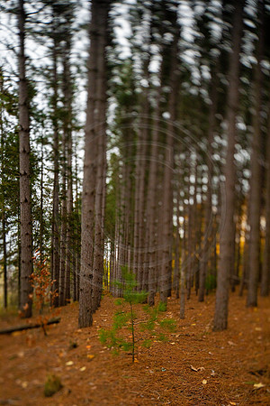 leelanau-1386