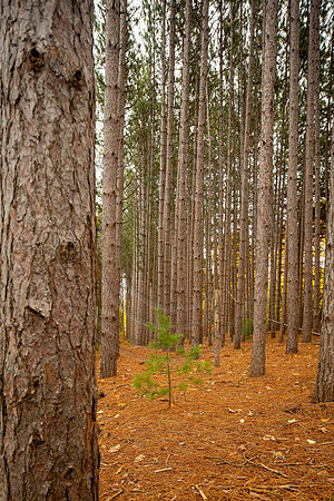 leelanau-1392