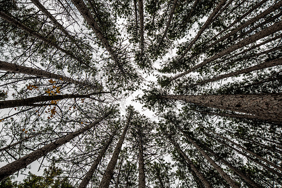 leelanau-1398
