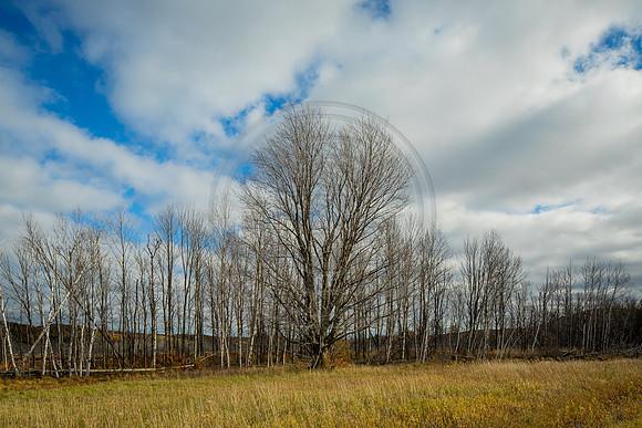 leelanau-1413