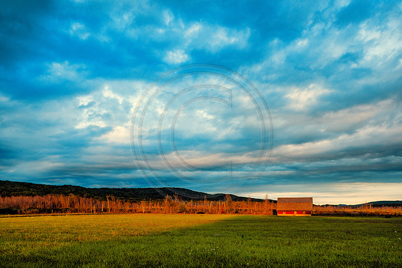 untitled-8900-Edit