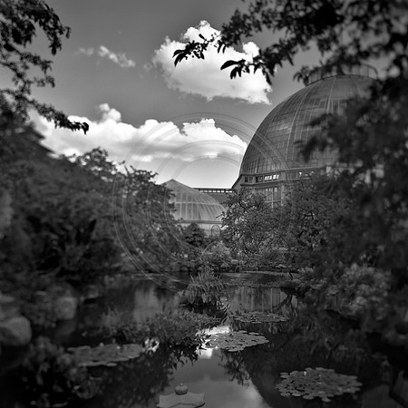 The Belle Isle Conservatory and Koi Pond